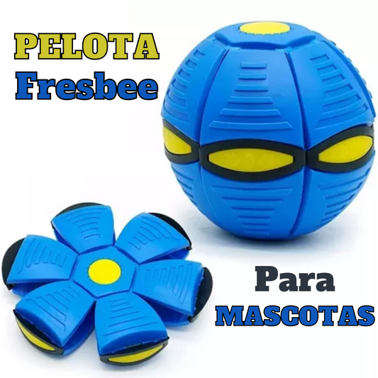 Pelota Fresbee